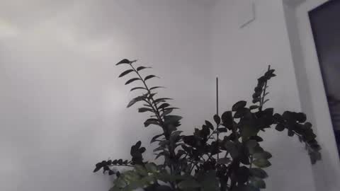 Snapshot of yakijoe chatting on October 2025 10:09:02 PM yakijoe online show from October 2025 10:09:02 PM