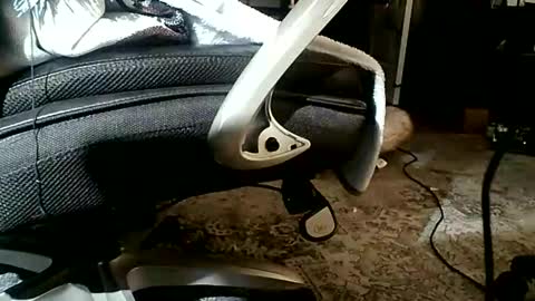 yamagrow online show from April 2026 01:10:02 PM