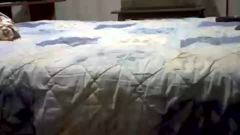 Yankee online show from July 2026 05:37:02 AM
