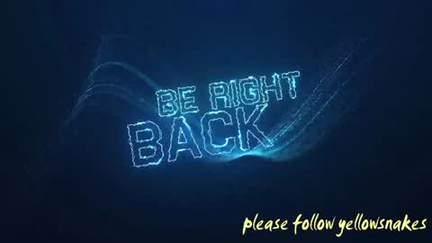 .     y e l l o w s n a k e s       . online show from November 2025 10:42:01 PM