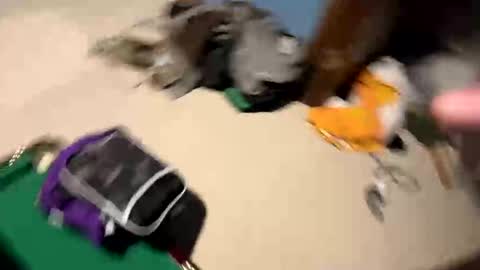 Yesspleasexxp online show from November 2025 05:57:02 AM