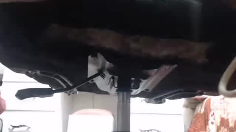 yirily online show from March 2026 05:22:02 AM