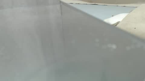 your_guy111 online show from April 2026 12:15:01 AM