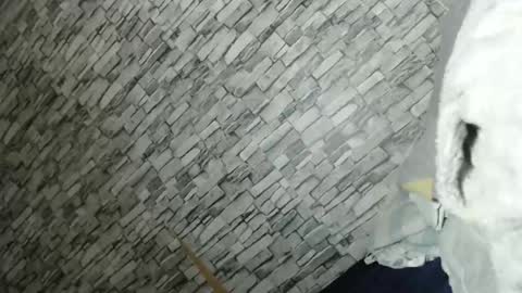 Snapshot of yourlittle_angel69 chatting on February 2026 02:14:01 PM angel online show from February 2026 02:14:01 PM
