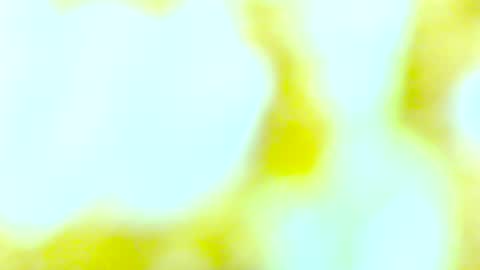 Snapshot of yourmynorthstar chatting on October 2025 09:48:01 PM Edging4U online show from October 2025 09:48:01 PM