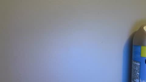Snapshot of yournewfavourite chatting on July 2026 05:56:02 AM newcastle72 online show from July 2026 05:56:02 AM