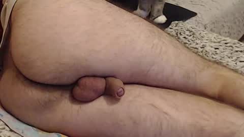 Snapshot of yowlo chatting on September 2025 03:30:02 AM Yowlo online show from September 2025 03:30:02 AM