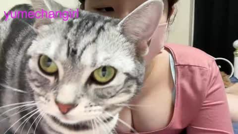 YumechangirlAnime Fan    online show from February 2025 03:16:02 AM