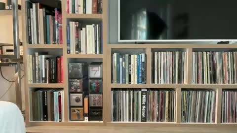 Snapshot of yumiandwolf chatting on March 2025 11:16:02 PM yumiandwolf online show from March 2025 11:16:02 PM