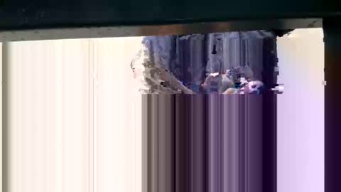 Snapshot of yungcockk444 chatting on October 2025 11:57:02 PM hungggg online show from October 2025 11:57:02 PM