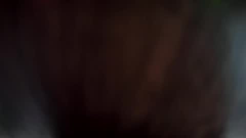 yuppers1234 online show from November 2025 04:41:01 PM