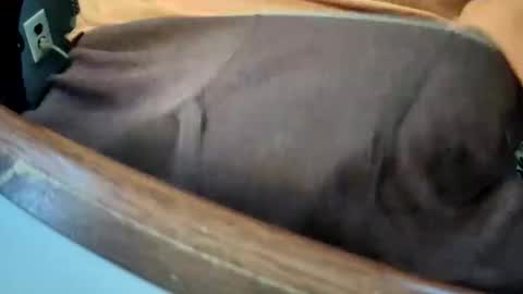 yuppers1234 online show from December 2025 04:36:02 PM