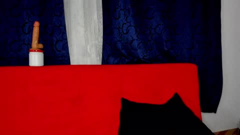 YURI AND MI BOY online show from February 2025 06:22:02 AM