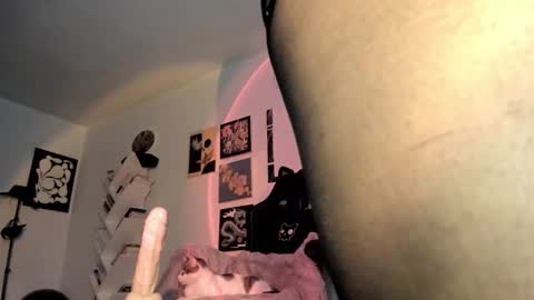 paola online show from January 2026 09:18:02 PM