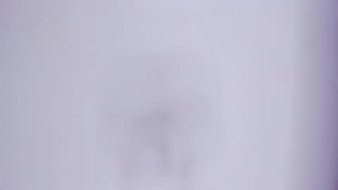 zafira online show from March 2026 04:15:01 PM