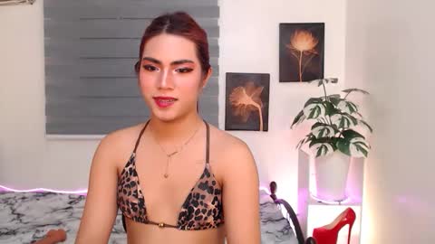 Zai online show from May 2026 07:08:02 PM