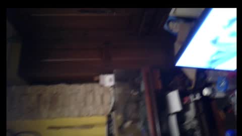 pollasucia13 online show from December 2024 06:41:01 AM