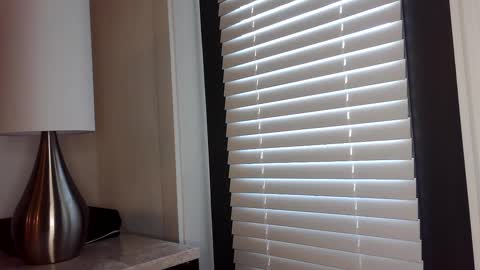 Snapshot of zamoraedii1994 chatting on January 2025 04:46:01 PM Edii online show from January 2025 04:46:01 PM