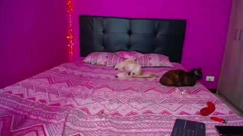 Snapshot of zara_tattoox chatting on December 2024 12:33:02 PM ZARA ANYELINA online show from December 2024 12:33:02 PM