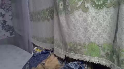 Snapshot of zarinamarlin chatting on May 2026 06:21:02 AM zarinamarlin online show from May 2026 06:21:02 AM