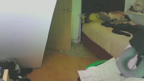 Snapshot of zedbooy chatting on December 2024 04:09:02 PM Zed online show from December 2024 04:09:02 PM