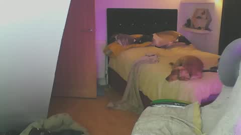 Snapshot of zedbooy chatting on January 2025 06:10:02 PM Zed online show from January 2025 06:10:02 PM