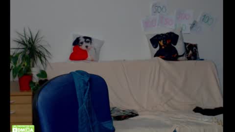 zeinmiracles online show from February 2026 02:31:02 AM