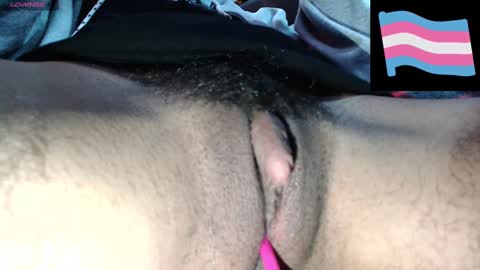 Snapshot of zeldrissss chatting on December 2024 04:17:01 PM Zeldris online show from December 2024 04:17:01 PM