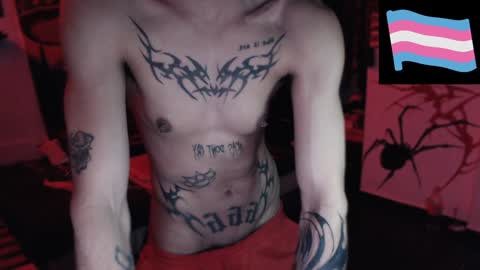 Snapshot of zeldrissss chatting on December 2024 01:48:02 AM Zeldris online show from December 2024 01:48:02 AM