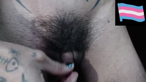 Snapshot of zeldrissss chatting on December 2024 11:12:02 PM Zeldris online show from December 2024 11:12:02 PM