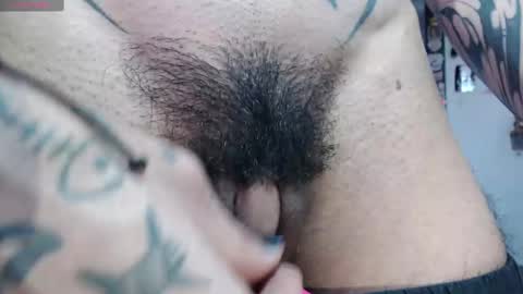 Snapshot of zeldrissss chatting on February 2025 02:16:02 PM Zeldris online show from February 2025 02:16:02 PM