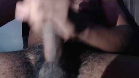 zelvaria online show from November 2025 11:54:01 AM