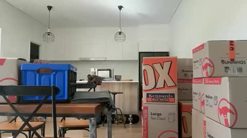 zeroventure online show from March 2026 03:52:01 AM