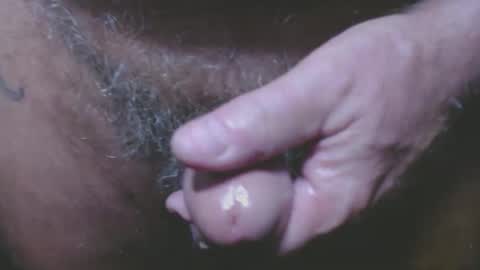 bambi cumslut online show from September 2025 03:52:01 AM