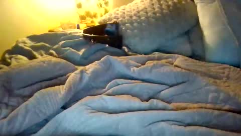 9.3 inch online show from December 2025 12:49:02 AM