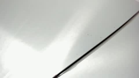 zia online show from February 2026 11:22:01 AM