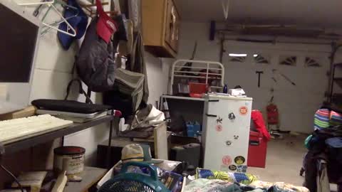 ziggyyz online show from February 2025 11:21:02 AM