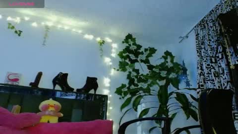 zoemi online show from January 2025 01:45:02 AM