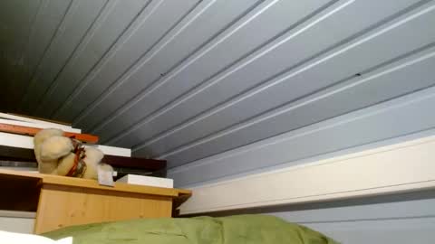 Snapshot of zolexthomas chatting on January 2025 08:23:02 PM zolexthomas online show from January 2025 08:23:02 PM