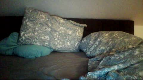 zubit online show from November 2025 09:14:01 PM