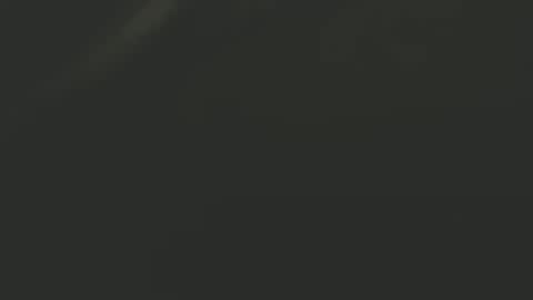 Snapshot of zx66_pyro chatting on December 2024 03:47:02 AM zx66_pyro online show from December 2024 03:47:02 AM