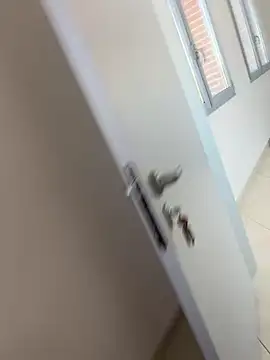 buodiculo online show from February 2025 08:28:02 AM