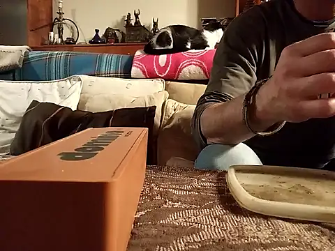 coolkasal online show from April 2026 07:39:02 PM