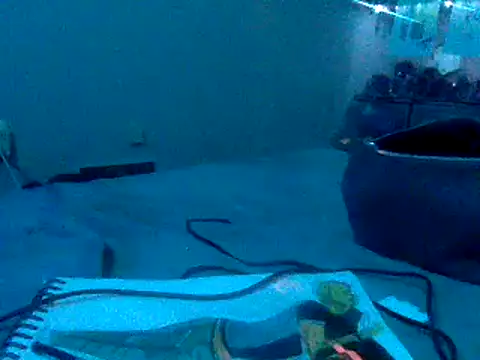 Fr4nk1eFFuxxx online show from January 2025 09:36:02 AM