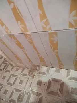 Sanjaymartin29 online show from March 2025 02:50:01 AM