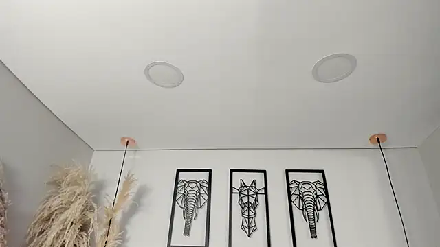 Rebeca jones online show from October 2025 12:28:01 PM