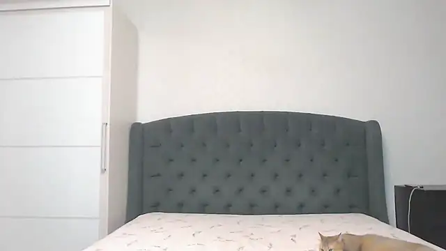 Snapshot of Marselle_Laker chatting on December 2024 05:42:01 AM Marselle Laker online show from December 2024 05:42:01 AM