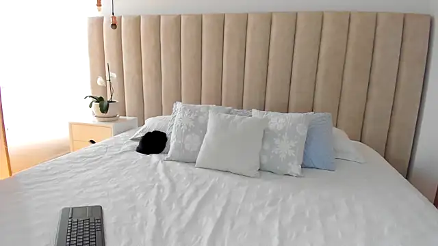 dara   online show from February 2025 08:26:02 PM