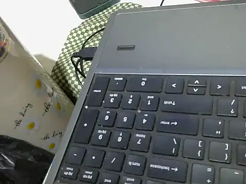 swt wet pus online show from March 2026 03:08:02 PM