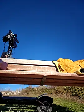 bellapaty online show from December 2025 09:51:01 AM